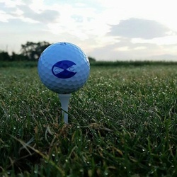 Caverns Country Club Resort