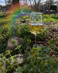 Wisteria Farm and Vineyard