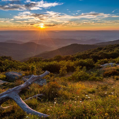 Gallery Image SNP-Sunset-Timber-Hollow-Overlook-500x500.jpg