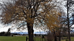 Stoneyman Valley Ranch, LLC