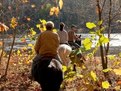 River's Bend Ranch - Attractions 