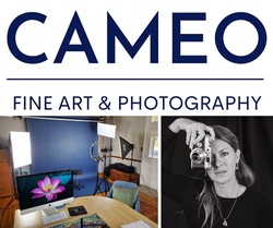 Cameo Galleries