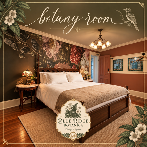 Gallery Image BCBD0892-7F8A-4550-AE9B-188D8A16ED3E_290926-081002.png