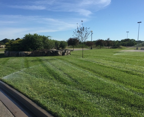 Lawn Care Lawn Care