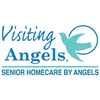 Visiting Angels Visiting Angels