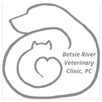 Betsie River Veterinary Clinic