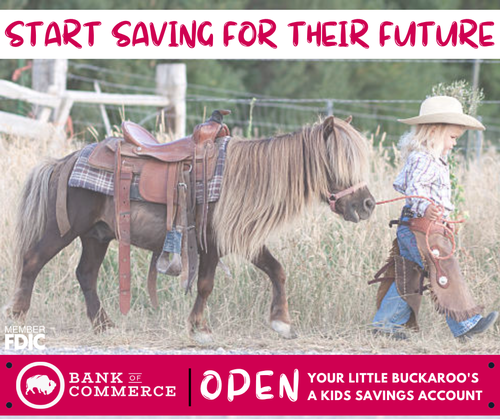 Gallery Image Buckaroo%20.%20PVCC.png