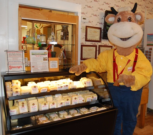 Gallery Image Youngs%20Dairy%20mascot.jpg