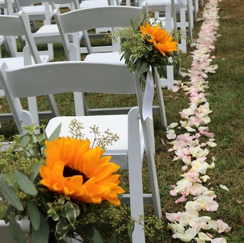 Chairs for Wedding