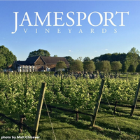 Jamesport Vineyard