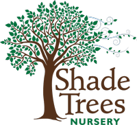 Shade Trees Nursery, Inc.