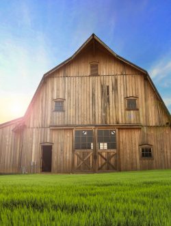 Gallery Image henpecked-barn-250x331.jpg Gallery Image henpecked-barn-250x331.jpg