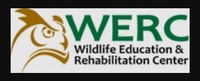 Wildlife Education and Rehabilitation Center (WERC)
