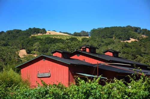 Gallery Image Martin%20Ranch%20winery%20building_300120-012314.jpg