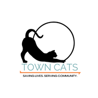 Town Cats
