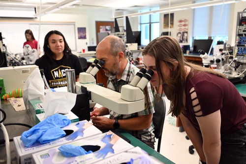 STEM Programs