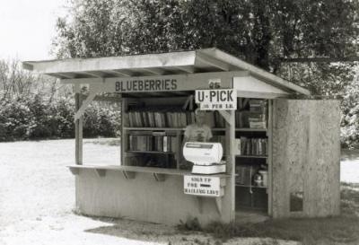 Gallery Image Blueberry_Farm_Stand-s.jpg