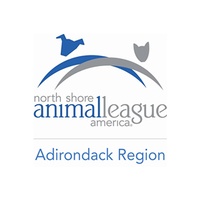 North Shore Animal League America Adirondack Region Cat Adoption Center