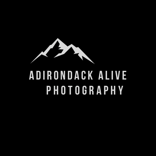 Gallery Image Adirondack%20Alive%20Photography.png