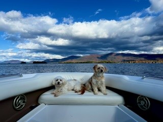 Gallery Image Dogs%20on%20boat.jpg