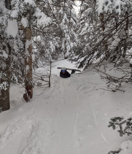 Gallery Image IMG_20250218_144140318_HDR.jpg Gallery Image IMG_20250218_144140318_HDR.jpg