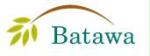 Batawa Development Corp.