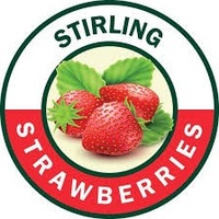Stirling Strawberries & SubZero Sweets
