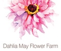 Dahlia May Flower Farm