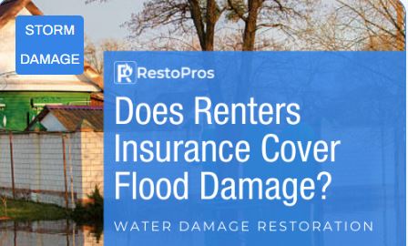 Gallery Image res_281025-035141.JPG