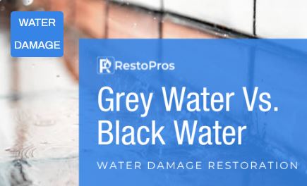 Gallery Image resii.JPG