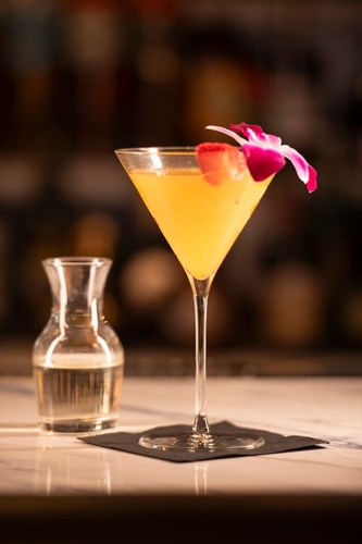 Gallery Image Pornberry-Martini-705x1058.jpg