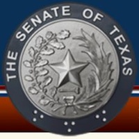 Texas State Senator District 20