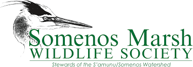 Somenos Marsh Wildlife Society