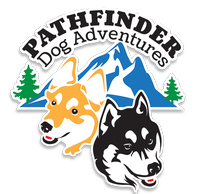 Pathfinder Dog Adventures