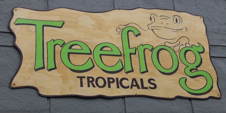 Treefrog Tropicals