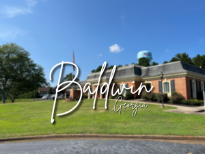 City of Baldwin
