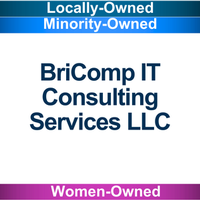 BriComp IT Consulting Services LLC