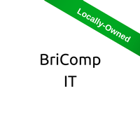 BriComp IT Consulting Services