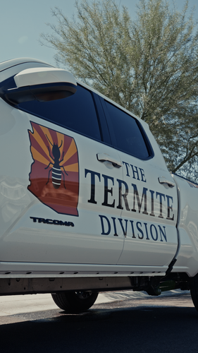 Gallery Image termite%20division.png Gallery Image termite%20division.png