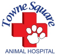 Towne Square Animal Hospital
