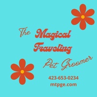 The Magical Traveling Pet Groomer