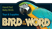 Bird Is The Word