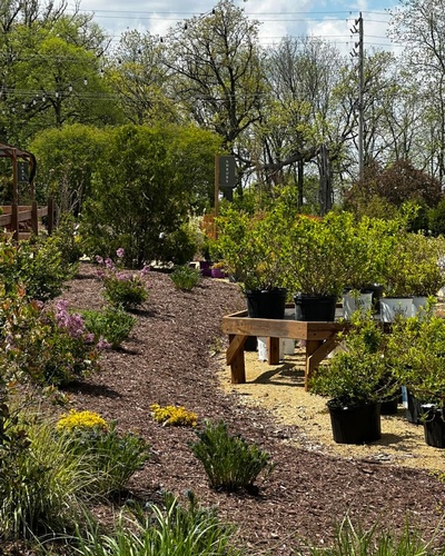 Gallery Image Bushes.jpg