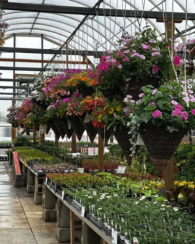 Gallery Image Hanging%20Baskets.jpg
