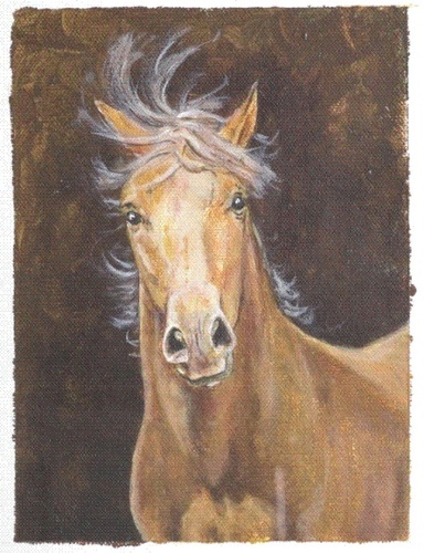 Gallery Image Palomino.jpg