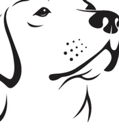 Canine Behavioral Blueprints, LLC