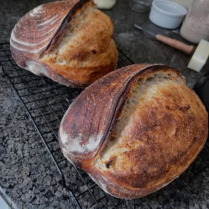 Gallery Image Lucy-2.jpg