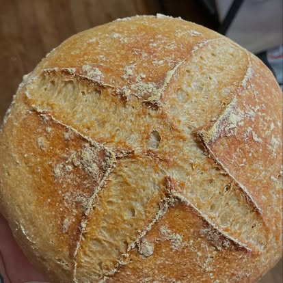 Gallery Image Lucy-5.jpg