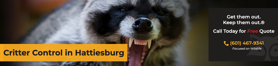 Critter Control of Hattiesburg