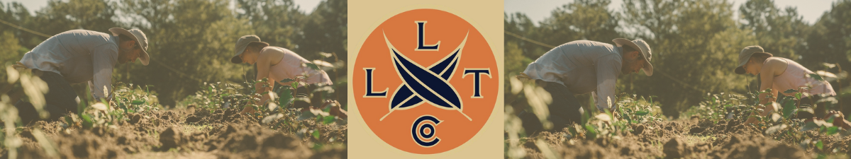 Longleaf Tea Company